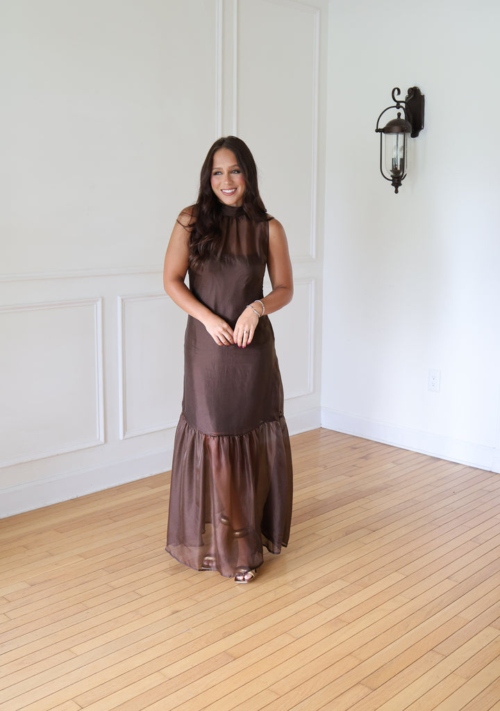Brown Organza Maxi Dress
