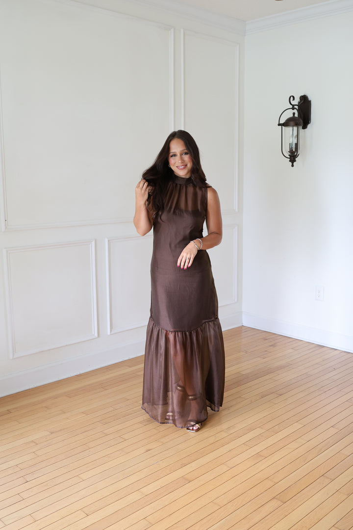 Brown Organza Maxi Dress