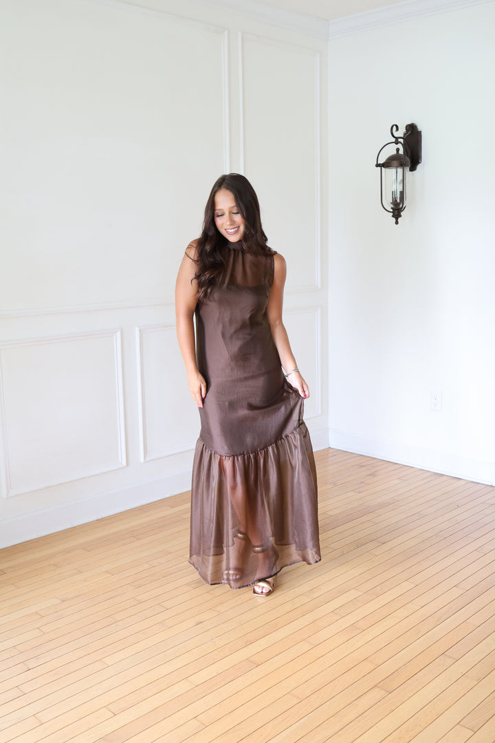 Brown Organza Maxi Dress