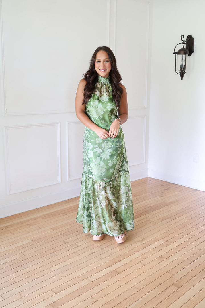 Brentyn Printed Organza Maxi Dress