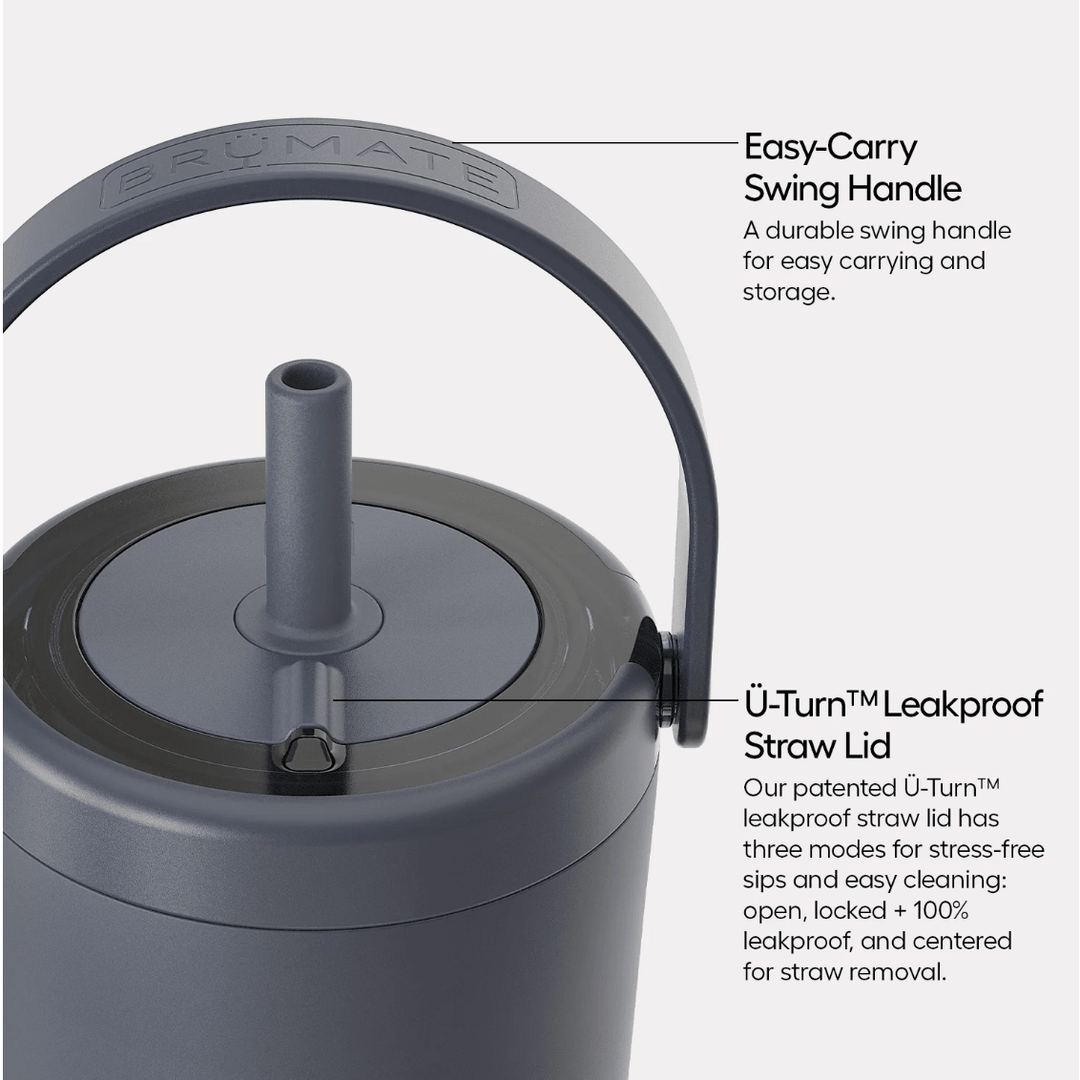 Gray water bottle with handle and leakproof straw lid on a white background