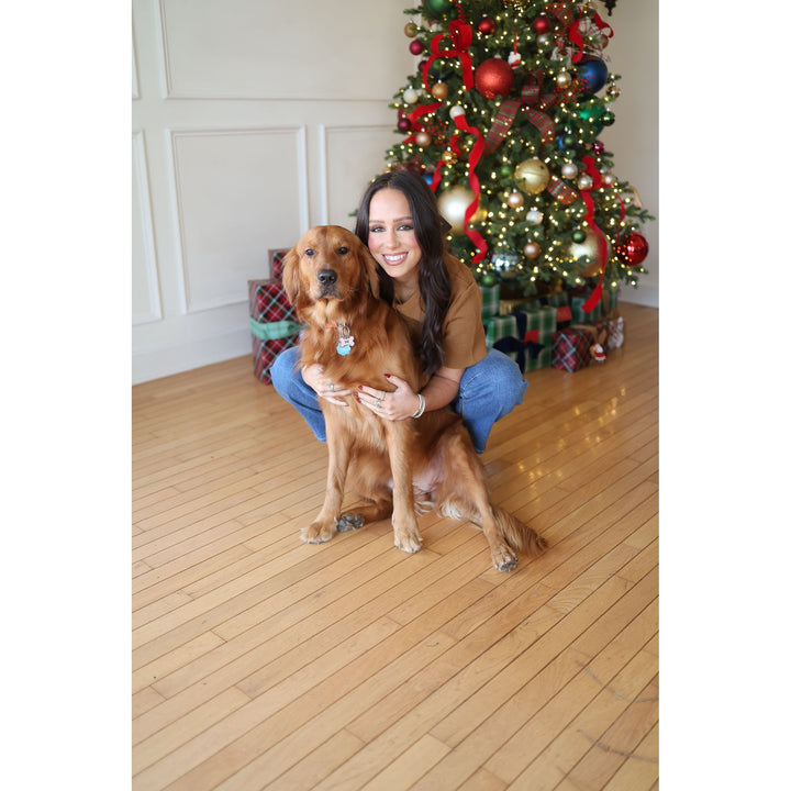 Morea Brown Knit Top