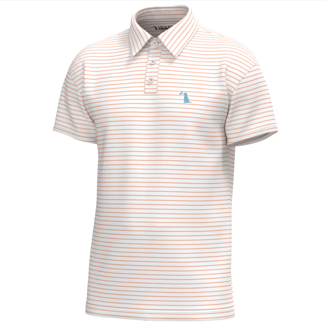 Striped polo shirt with a small logo on a white background