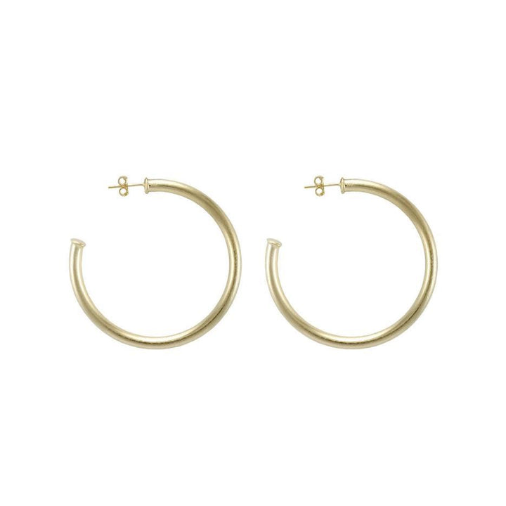 Sheila Fajl Hoop
